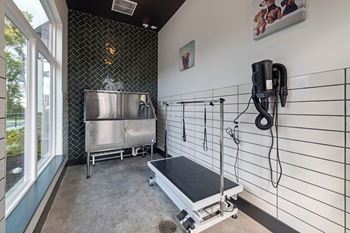 Pet spa